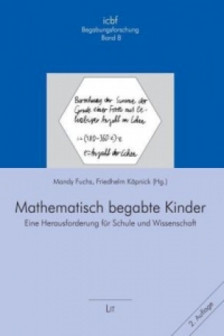 Kniha Mathematisch begabte Kinder Mandy Fuchs
