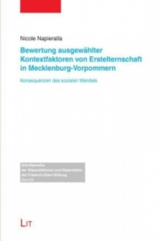Könyv Bewertung ausgewählter Kontextfaktoren von Erstelternschaft in Mecklenburg-Vorpommern Nicole Napieralla