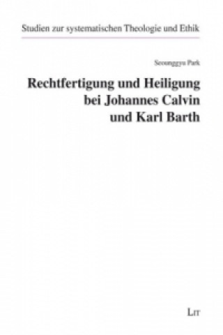Könyv Rechtfertigung und Heiligung bei Johannes Calvin und Karl Barth Seounggyu Park