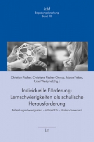 Book Individuelle Förderung: Lernschwierigkeiten als schulische Herausforderung Christian Fischer