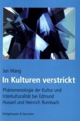 Könyv In Kulturen verstrickt Jun Wang