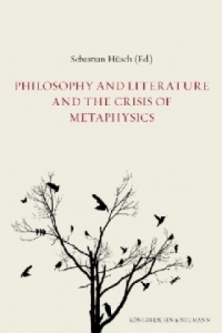 Kniha Philosophy and Literature and the Crisis of Metaphysics Sébastian Hüsch