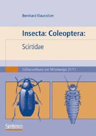 Könyv Insecta: Coleoptera: Scirtidae Bernhard Klausnitzer