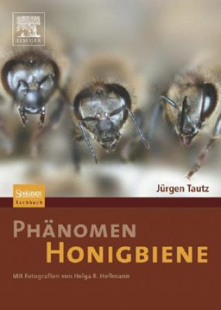 Kniha Phanomen Honigbiene Jürgen Tautz
