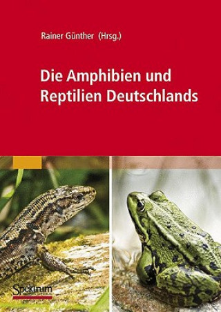 Kniha Die Amphibien Und Reptilien Deutschlands Rainer Günther