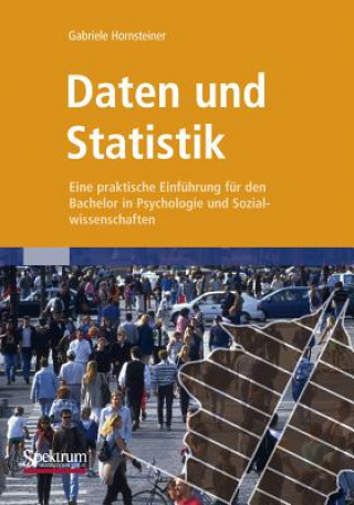 Könyv Daten Und Statistik Gabriele Hornsteiner