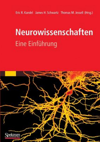 Könyv Neurowissenschaften Eric R. Kandel
