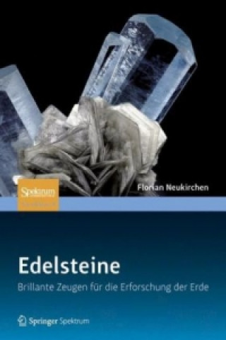 Книга Edelsteine Florian Neukirchen