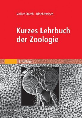 Kniha Kurzes Lehrbuch der Zoologie Volker Storch