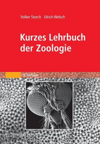 Buch Kurzes Lehrbuch der Zoologie Volker Storch