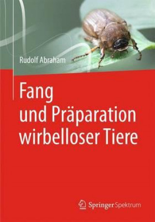 Kniha Fang Und Praparation Wirbelloser Tiere Rudolf Abraham