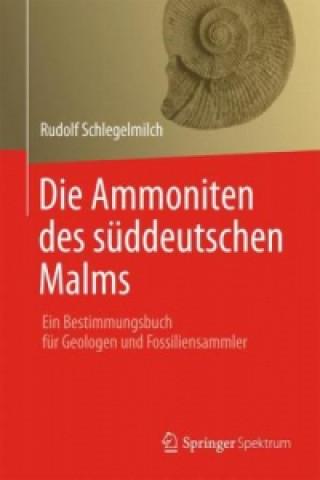 Carte Die Ammoniten des suddeutschen Malms Rudolf Schlegelmilch