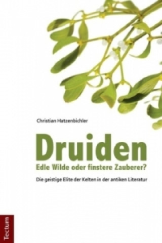Könyv Druiden - Edle Wilde oder finstere Zauberer? Christian Hatzenbichler