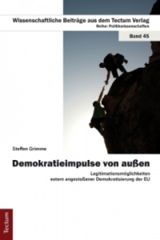 Książka Demokratieimpulse von außen Steffen Grimme