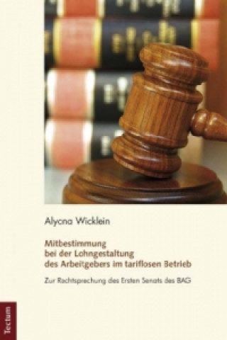Könyv Mitbestimmung bei der Lohngestaltung des Arbeitgebers im tariflosen Betrieb Alyona Wicklein