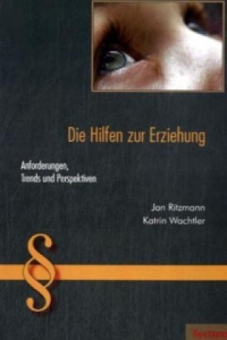 Knjiga Die Hilfen zur Erziehung Jan Ritzmann