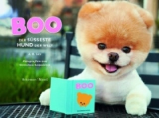 Kniha Boo - Der süßeste Hund der Welt J. H. Lee