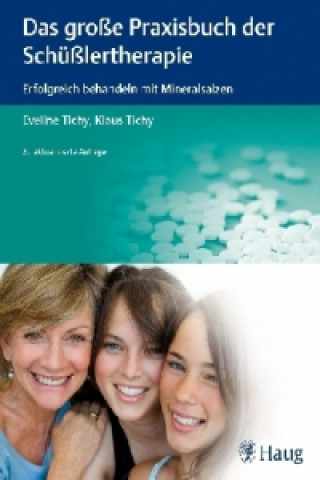 Kniha Das große Praxisbuch der Schüßlertherapie Eveline Tichy