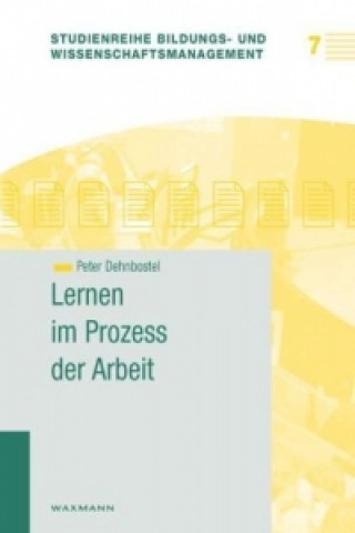 Kniha Lernen im Prozess der Arbeit Peter Dehnbostel