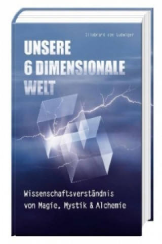 Kniha Unsere 6 Dimensionale Welt Illobrand von Ludwiger