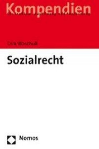 Buch Sozialrecht Dirk Waschull