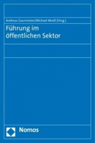 Buch Führung im öffentlichen Sektor Andreas Gourmelon