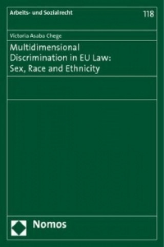 Kniha Multidimensional Discrimination in EU Law: Sex, Race and Ethnicity Victoria A. Chege