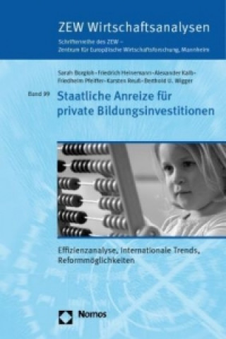 Kniha Staatliche Anreize für private Bildungsinvestitionen Sarah Borgloh