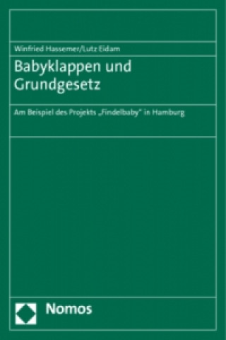 Kniha Babyklappen und Grundgesetz Winfried Hassemer