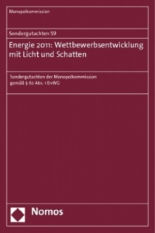 Kniha Energie 2011: Wettbewerbsentwicklung mit Licht und Schatten 