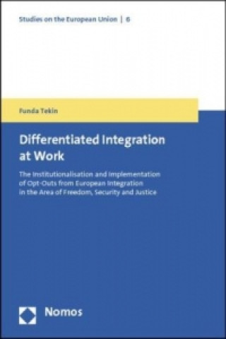 Kniha Differentiated Integration at Work Funda Tekin