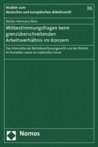 Książka Mitbestimmungsfragen beim grenzüberschreitenden Arbeitsverhältnis im Konzern Stefan Hermann Rein