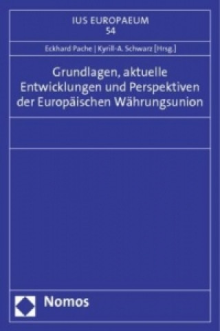 Kniha Grundlagen, aktuelle Entwicklungen und Perspektiven der Europäischen Währungsunion Eckhard Pache