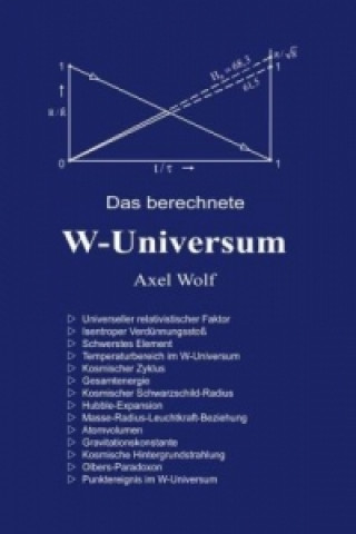 Kniha Das berechnete W-Universum Axel Wolf