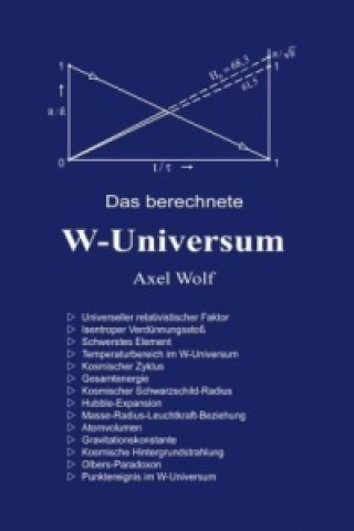 Książka Das berechnete W-Universum Axel Wolf