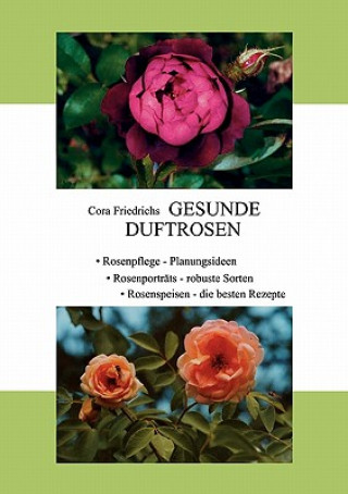 Carte Gesunde Duftrosen Cora Friedrichs