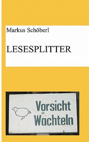 Kniha Lesesplitter Markus Schöberl