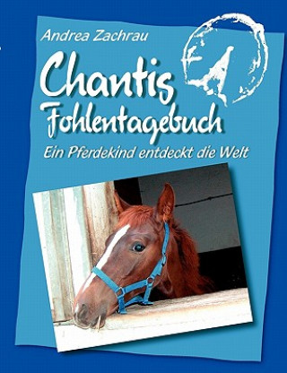 Kniha Chantis Fohlentagebuch Andrea Zachrau