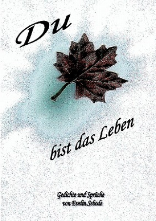 Buch Du bist das Leben Evelin Sebode