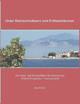 Kniha Unter Steinschmatzern und Erdbeerbaumen Jörg Wenke