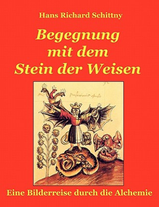 Kniha Begegnung mit dem Stein der Weisen Hans Richard Schittny