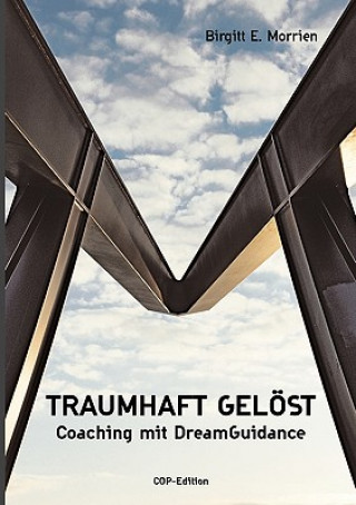 Buch Traumhaft geloest Birgitt E. Morrien