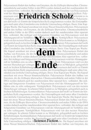Könyv Nach dem Ende Friedrich Scholz