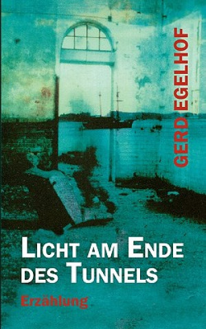 Könyv Licht am Ende des Tunnels Gerd Egelhof