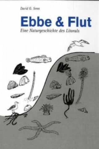 Kniha Ebbe und Flut David G. Senn