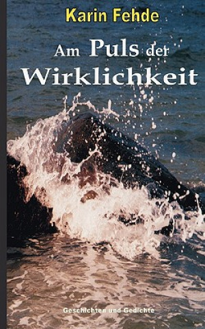 Buch Am Puls der Wirklichkeit Karin Fehde