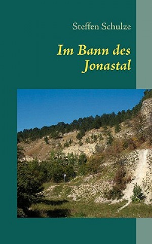 Kniha Im Bann des Jonastal Steffen Schulze