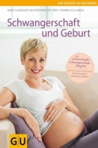 Kniha Schwangerschaft und Geburt Thomas Villinger