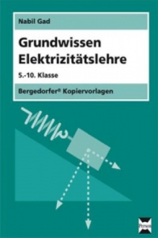 Kniha Grundwissen Elektrizitätslehre Nabil Gad