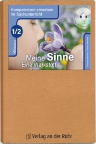 Kniha Meine Sinne - Eine Werkstatt - Klasse 1/2 Verena Bauer